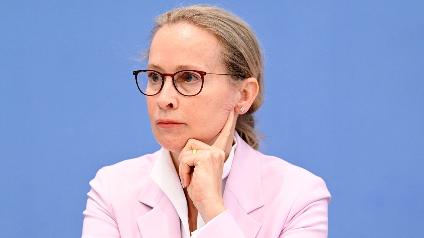 Verschobene Richterwahl: Neue Plagiatsvorwürfe gegen Frauke Brosius-Gersdorf – die wehrt sich