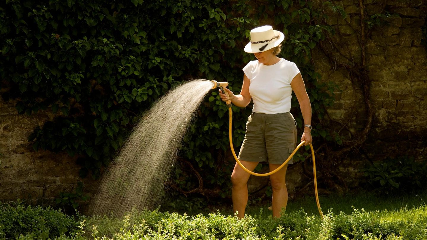 Amazon-Angebot: Gardena-Gartenschlauch jetzt zum halben Preis sichern