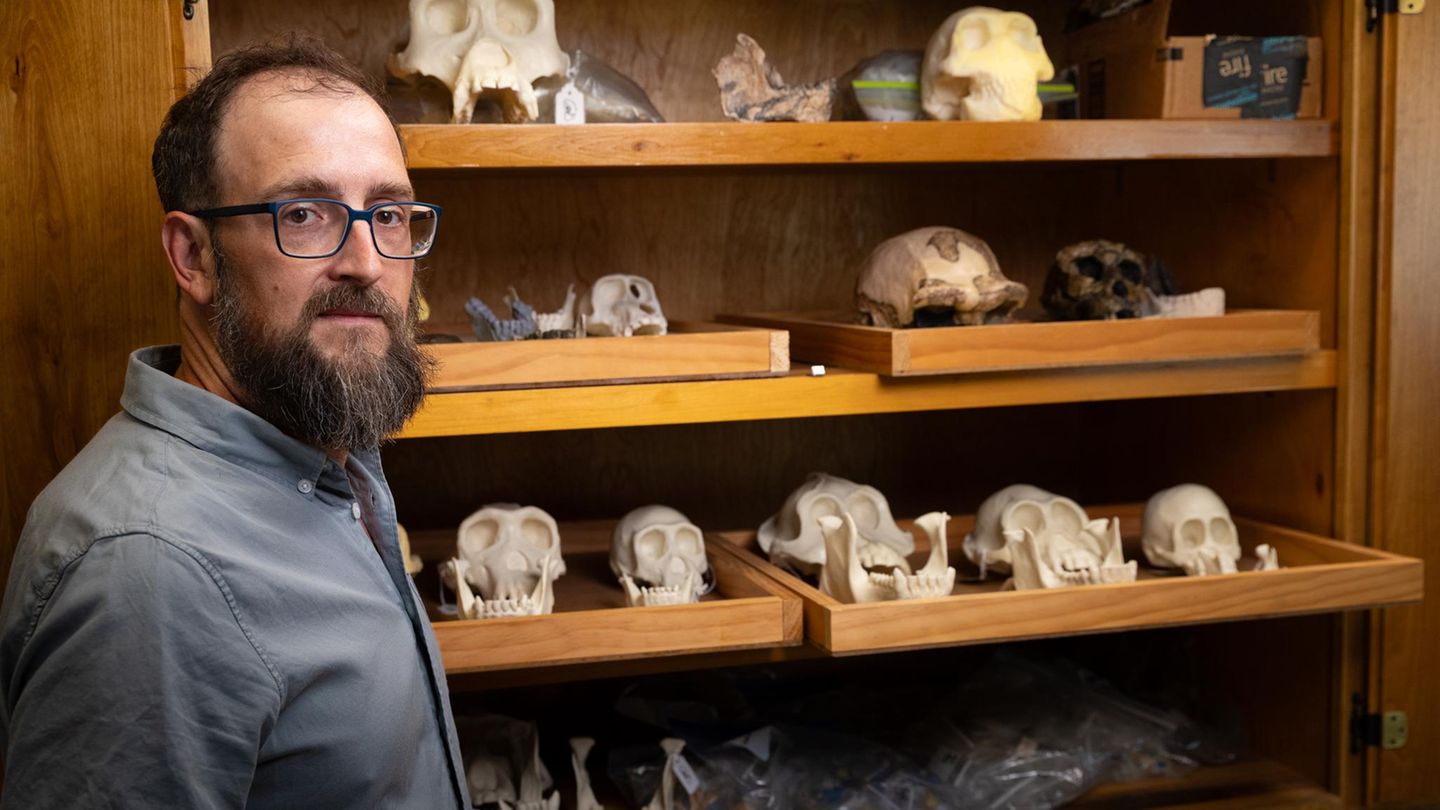 Fossilienfunde : Homo sapiens war nicht allein: Neue Entdeckung überrascht Forschende