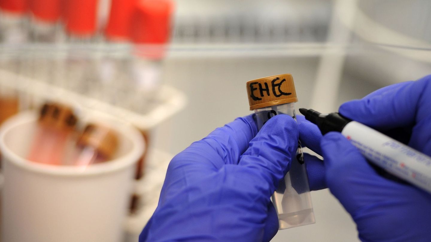 Gesundheit: Zunahme von Ehec-Fällen in Thüringen