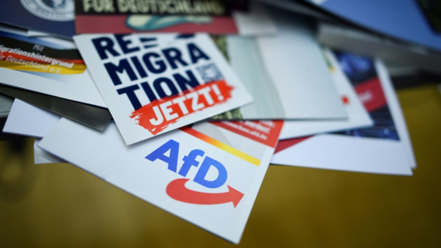 Grüne wollen AfD-Verbotsverfahren vorantreiben – mit Union, SPD und Linken