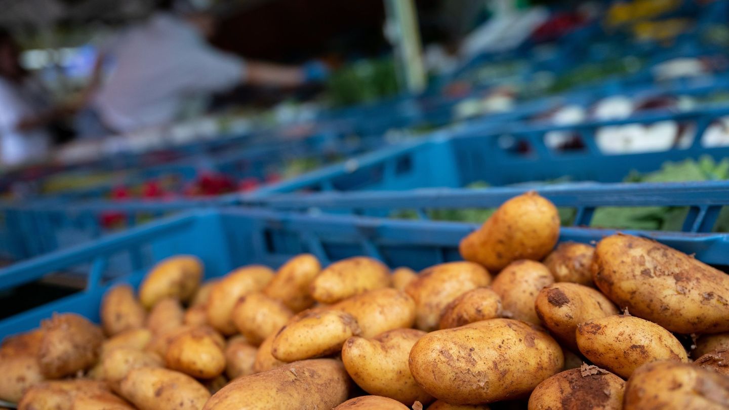 Landwirtschaft: Bayerns Anbaufläche für Kartoffeln wächst