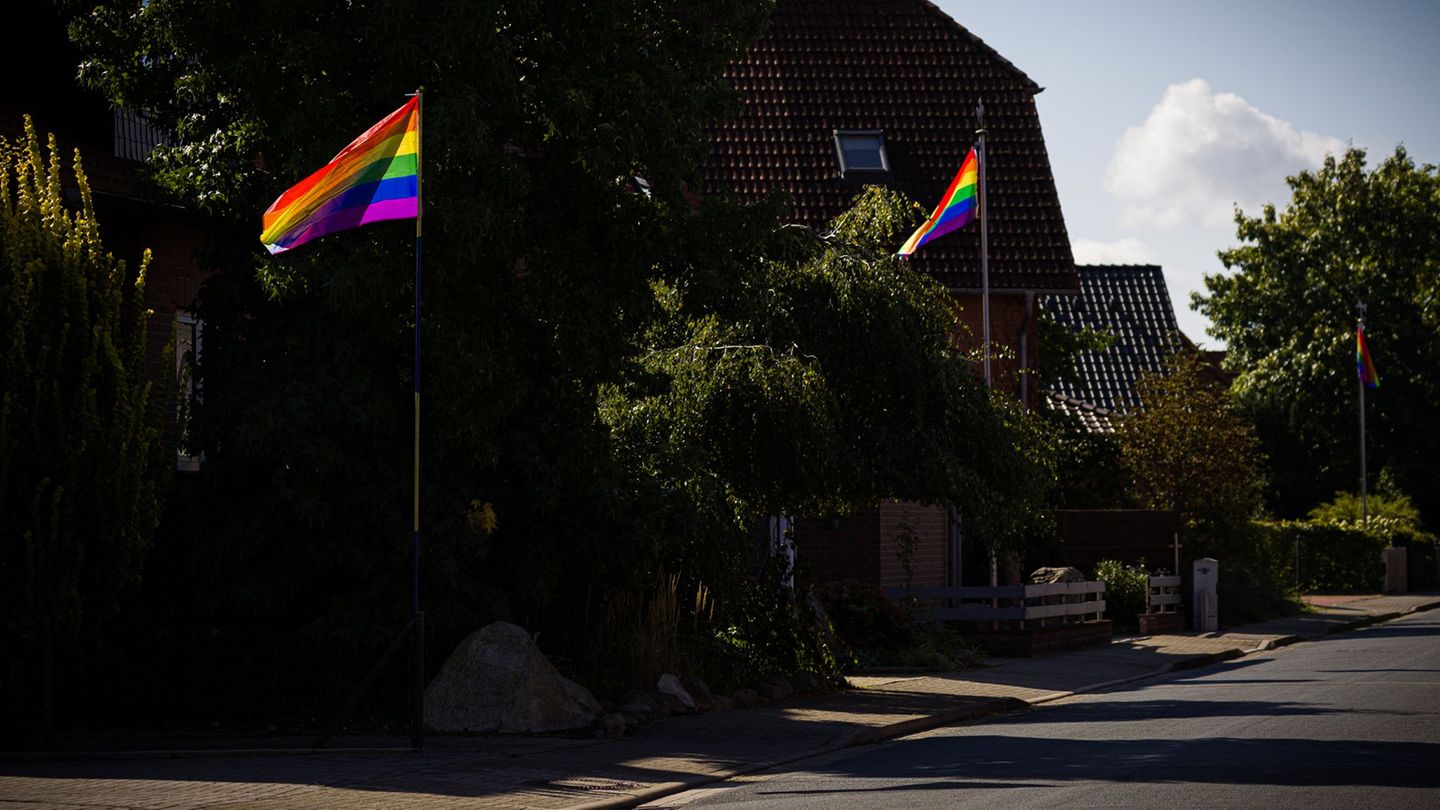 Regenbogenfahnen gestohlen: Wahrenholz: Ein Dorf sieht bunt