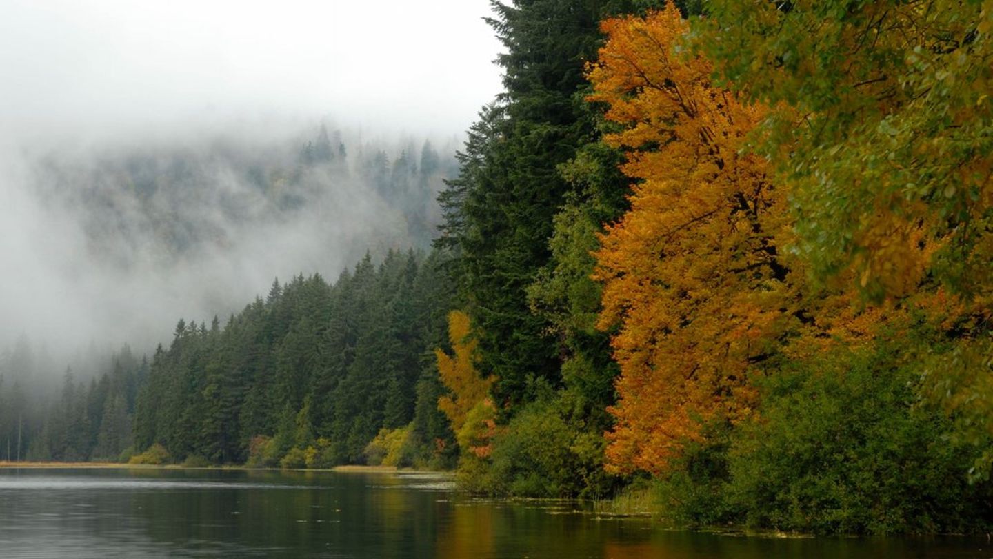 Bayerischer Wald: Die Natur im Herbst genießen