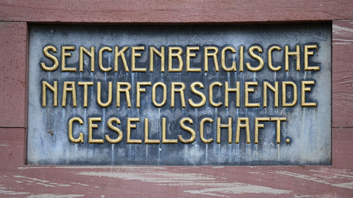 Wissenschaft: US-Politik erschwert Forschung – Senckenberg stoppt Projekte