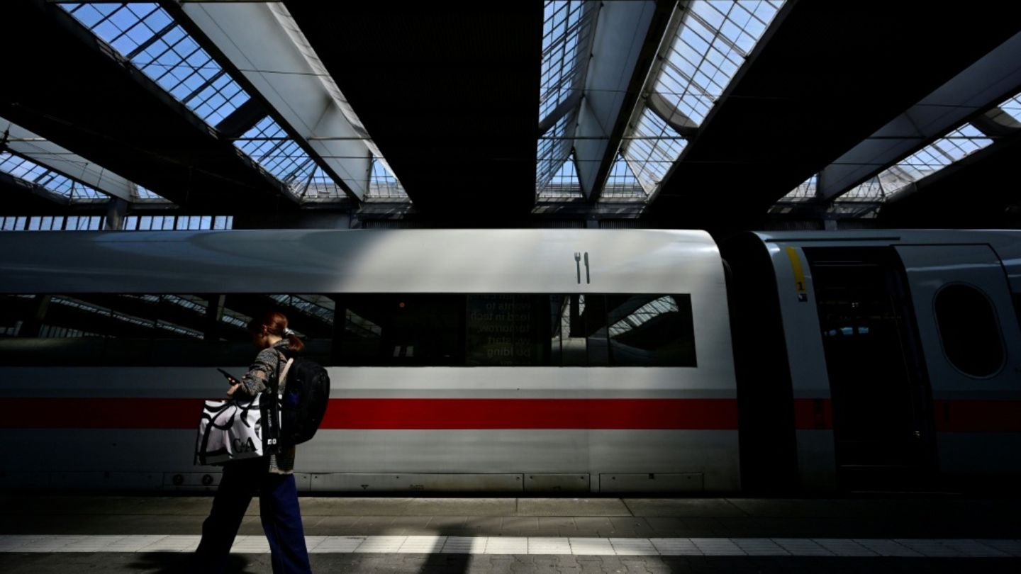 Berichte: Evelyn Palla soll neue Bahn-Chefin werden
