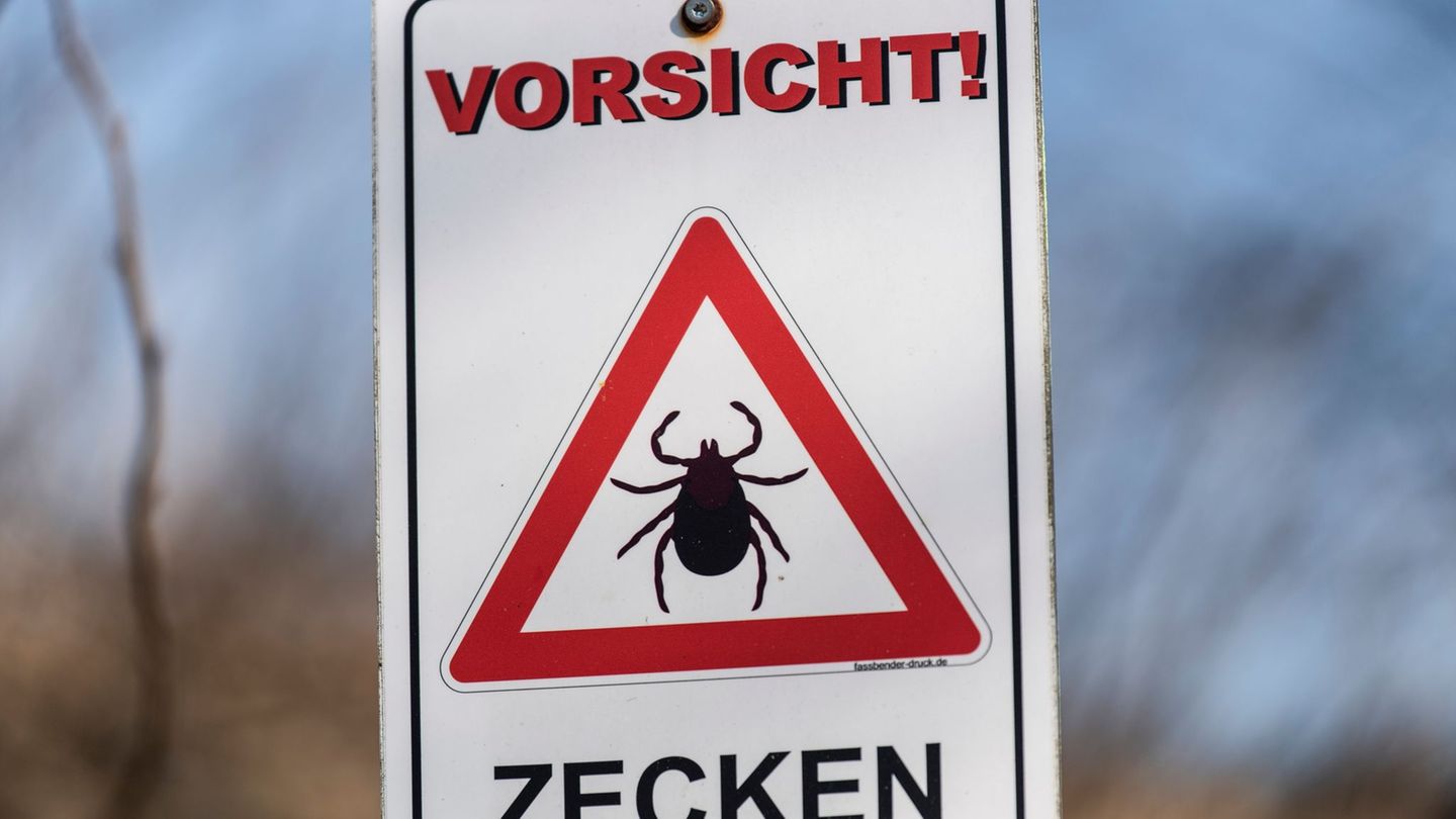 Gesundheit: Zecken-Stich: Borreliose-Fälle nehmen massiv zu