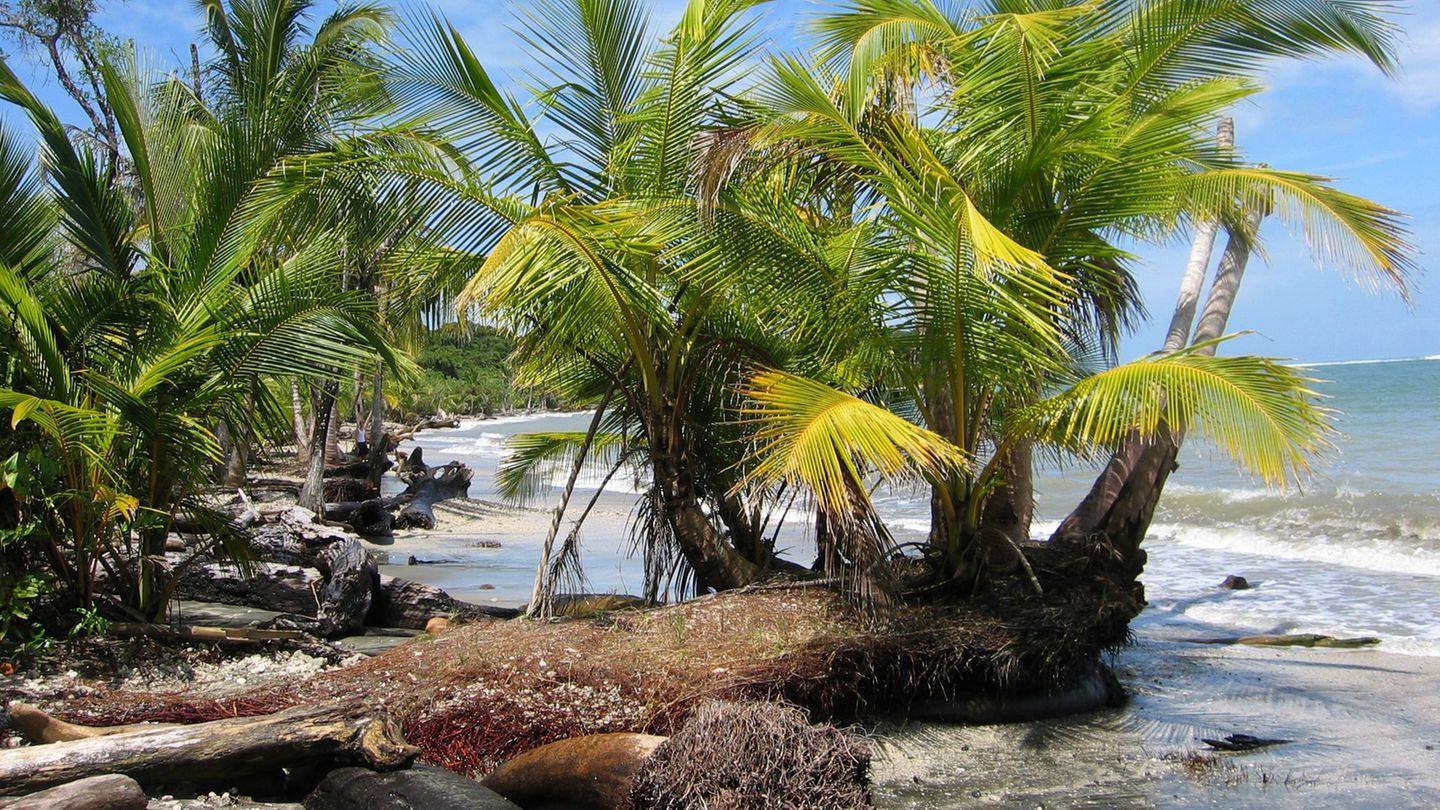 Kriminalität: Getötetes Paar in Costa Rica: Frau war Österreicherin