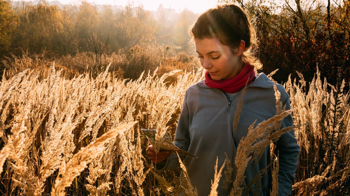 Herbst 2025: Kramt die Fleece-Pullis wieder raus!