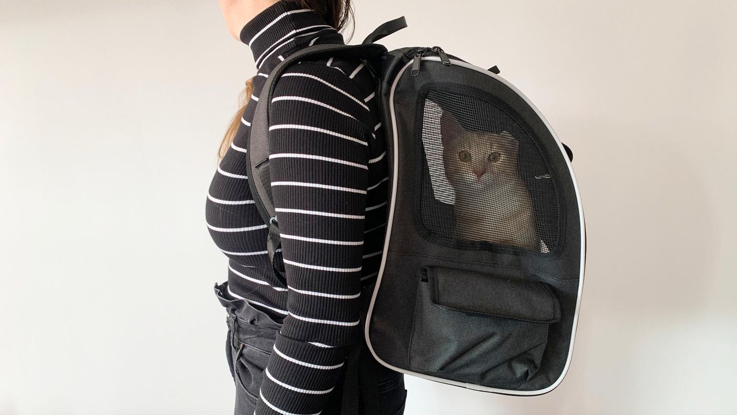 Bis 8 Kg : Katzenrucksack im Test: Eine sinnvolle Alternative zur Transportbox?