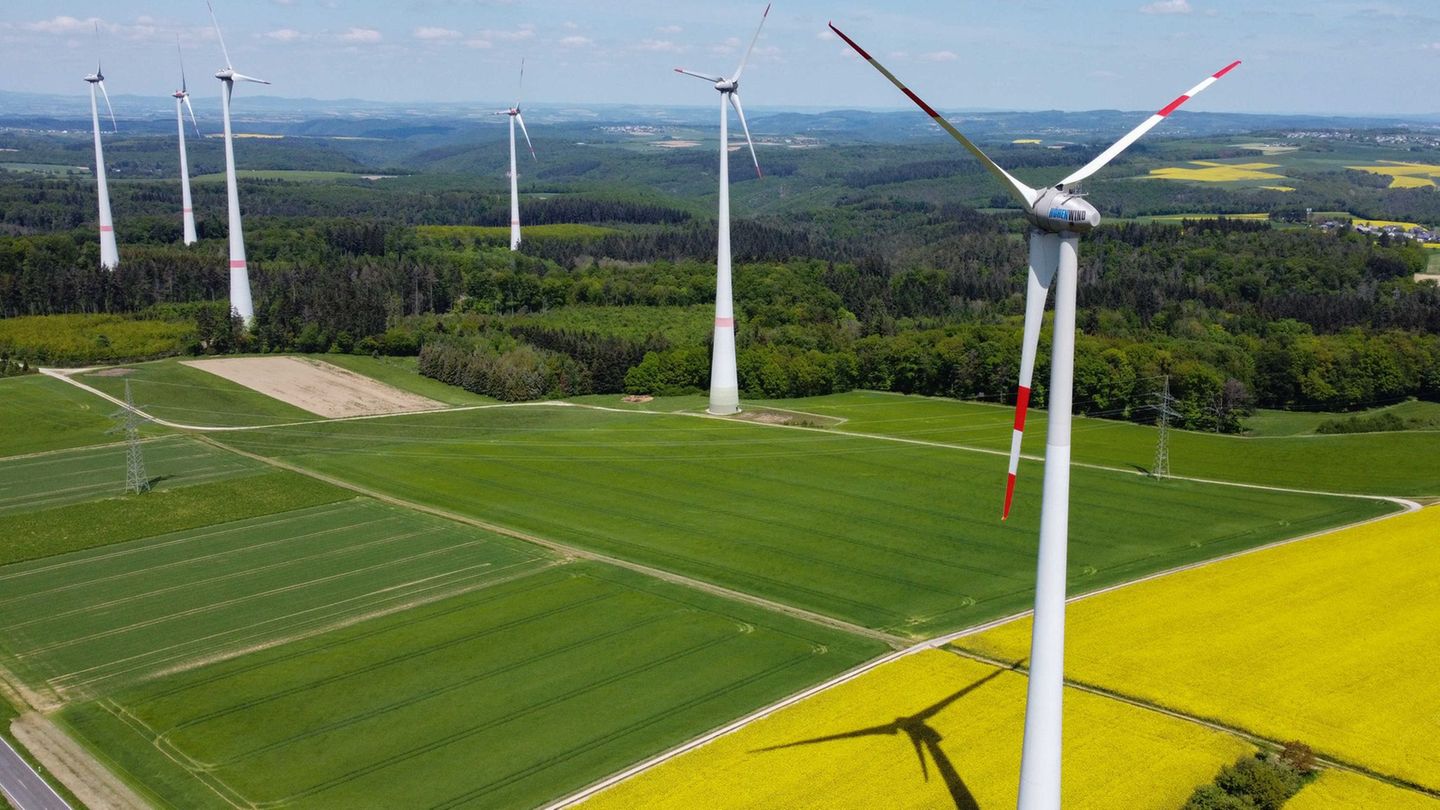 Erneuerbare Energien: Mehr Windenergieanlagen in Rheinland-Pfalz genehmigt