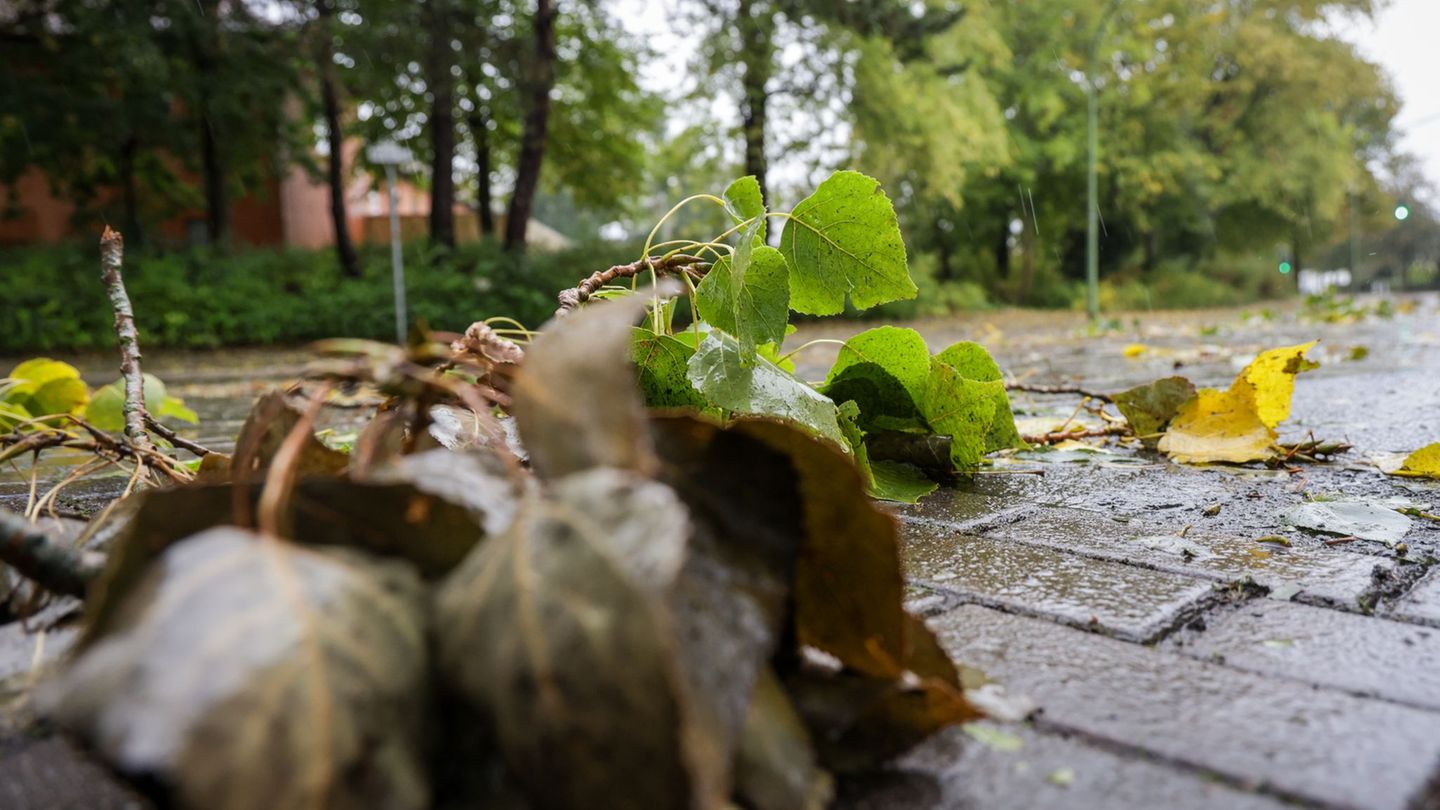 Wetter: Orkanböen in Baden-Württemberg – Straßen gesperrt, Verletzte