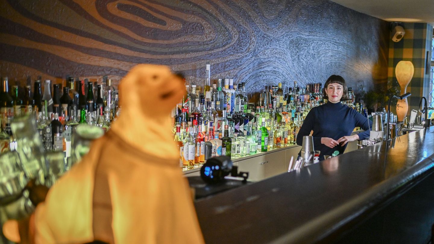 Auszeichnungen: „Bar des Jahres“ ist wieder in Berlin zu finden