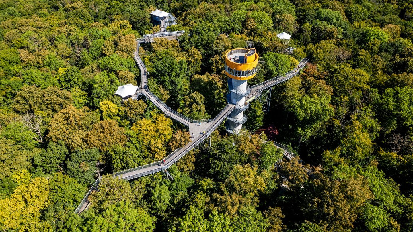Tourismus: Herbstferien sorgen für mehr Buchungen in Thüringen