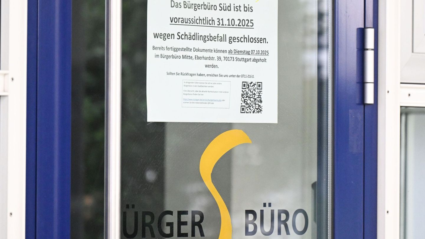 Ungeziefer: Bürgerbüro Süd in Stuttgart wegen Mäusen geschlossen