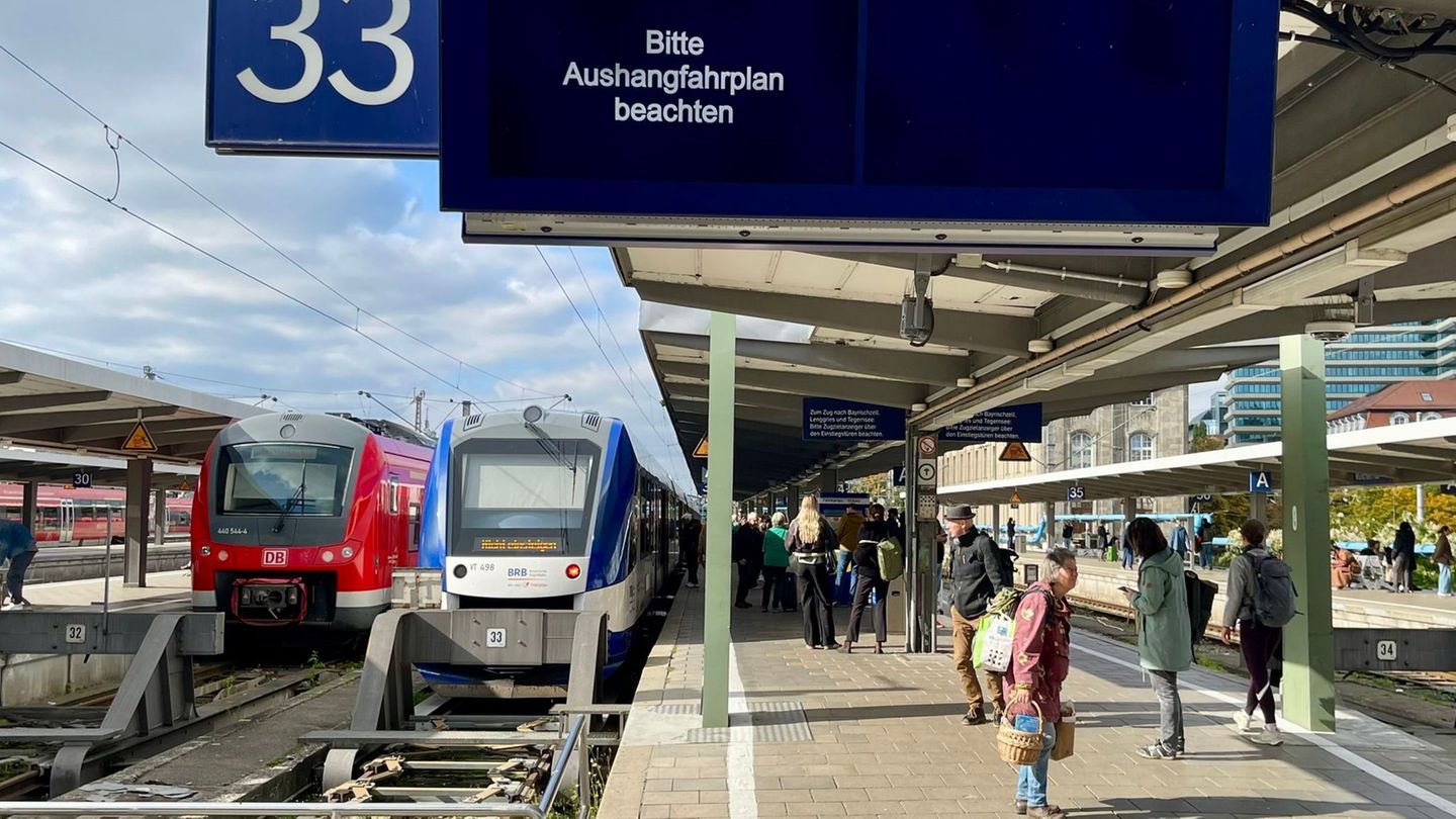 Bahnverbindungen: Vogelschlag Ursache der Störung am Münchner Hauptbahnhof