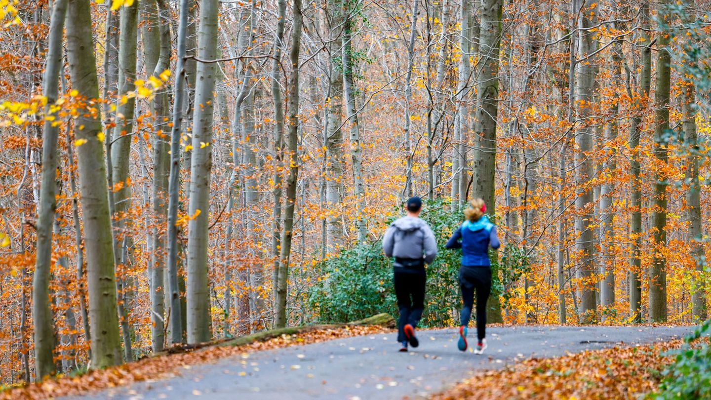 Wetter-Vorhersage: Wochenende wird vielerorts sonnig – Nachtfrost im Osten