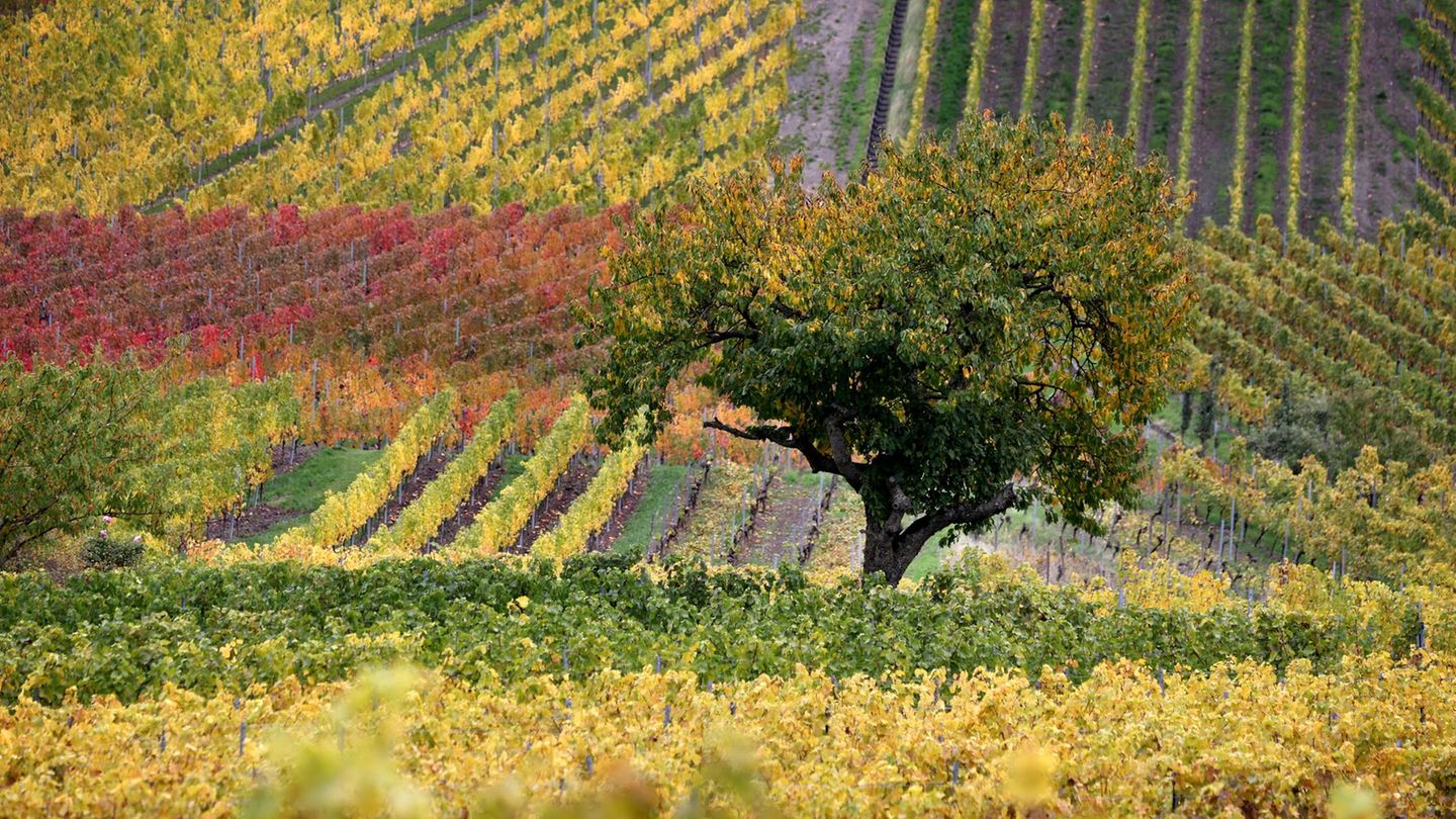 Wetterausblick: Sonne am Wochenende – Wetterwechsel ab Montag