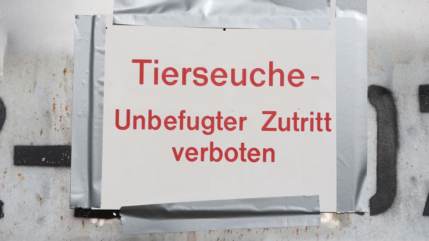 Vogelgrippe: Vogelpest am Stausee Kelbra: Kreise verhängen Stallpflicht
