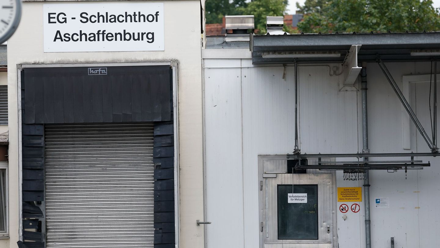 Tierschutzvergehen: Mittlerweile zehn Beschuldigte im Schlachthofskandal