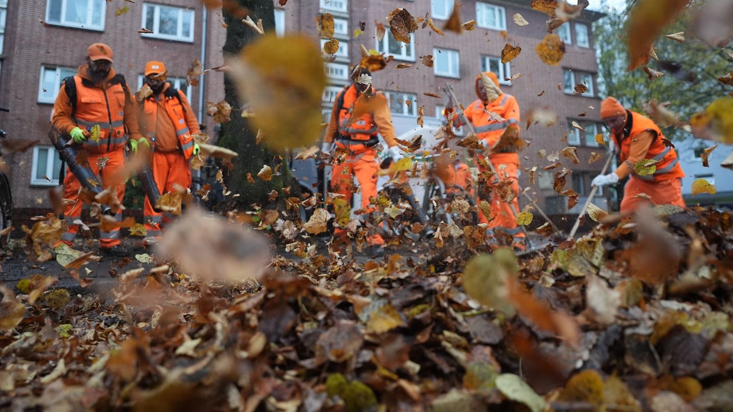 Laub birgt Gefahren: Stadtreinigung sammelt wieder bis zu 20.000 Tonnen Laub ein