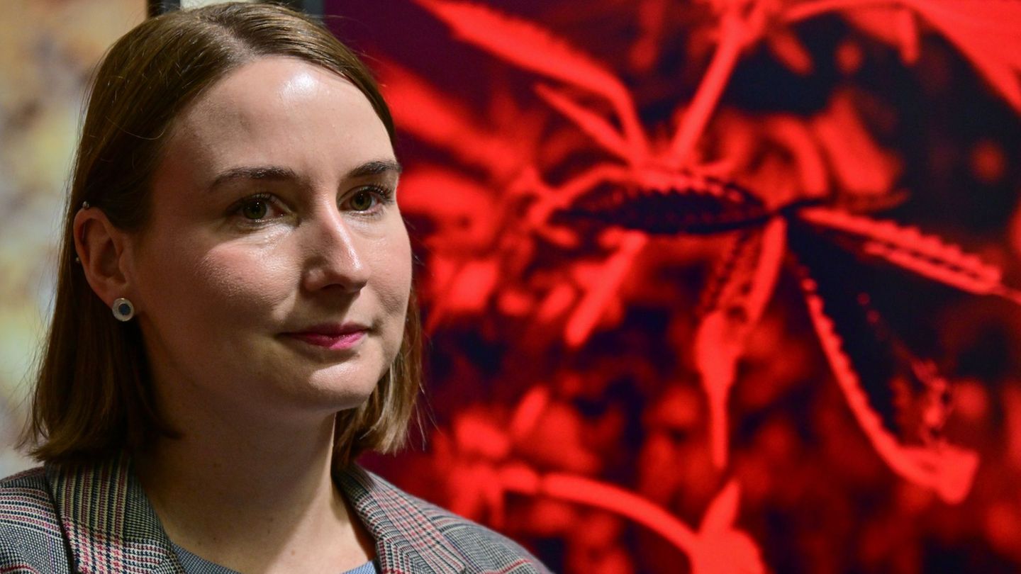 Cannabis-Ausstellung: Kunst trifft Cannabis: Ausstellung über Rausch und Realität