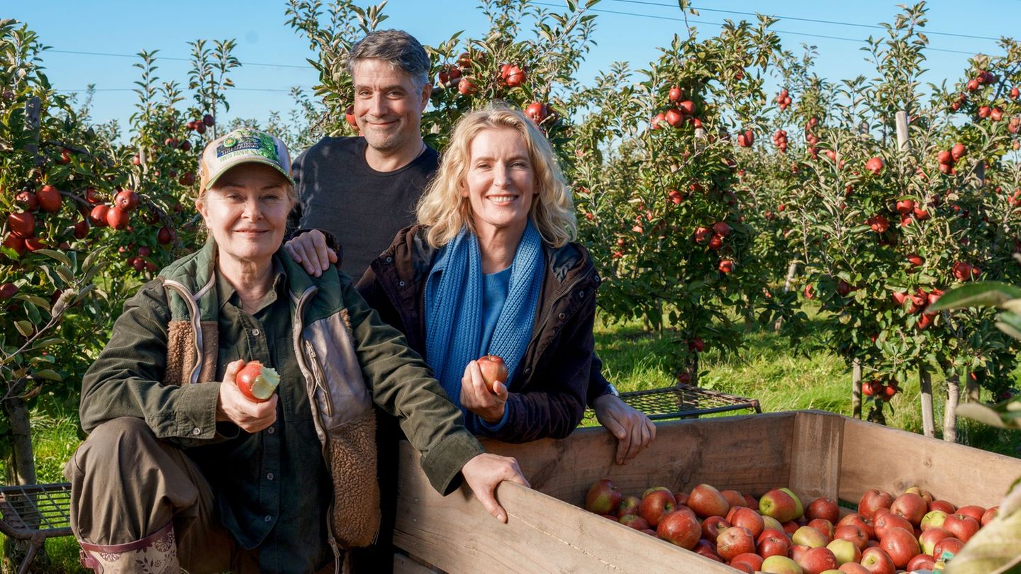 „Tatort“ aus dem Norden: Furtwängler-„Tatort“: Kopflos im Alten Land