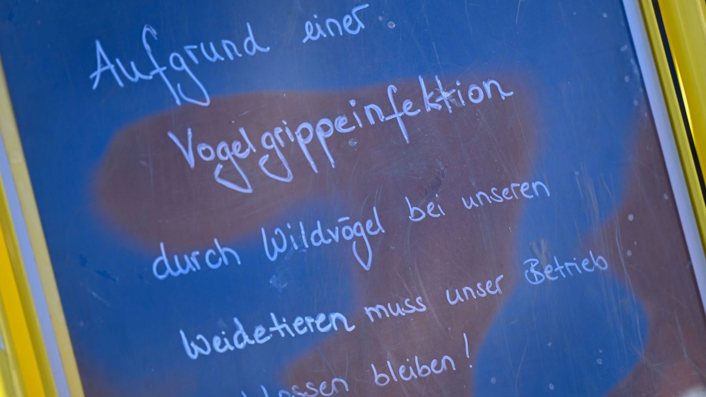 Tierseuche: Geflügelhalter: Bundesweite Stallpflicht gegen Vogelgrippe