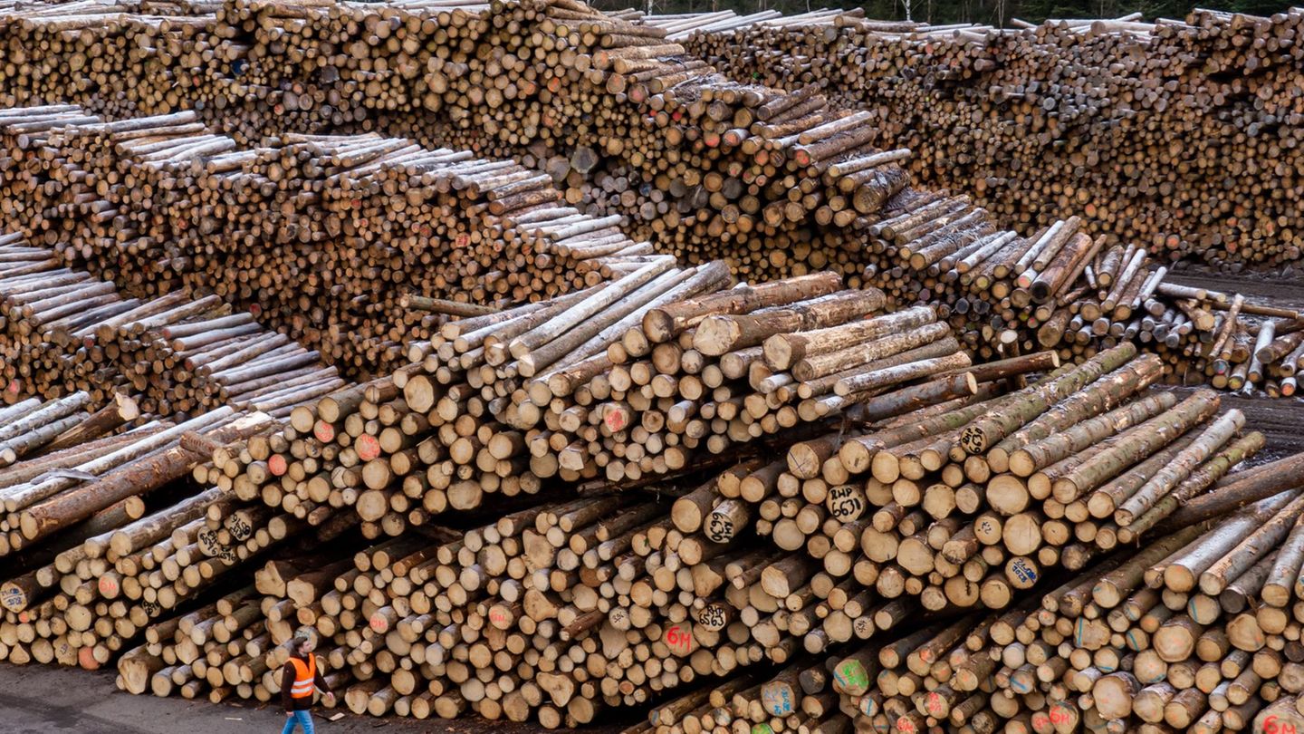 Holzimperium: Nach Ziegler-Insolvenz weiter Ermittlungen gegen Manager
