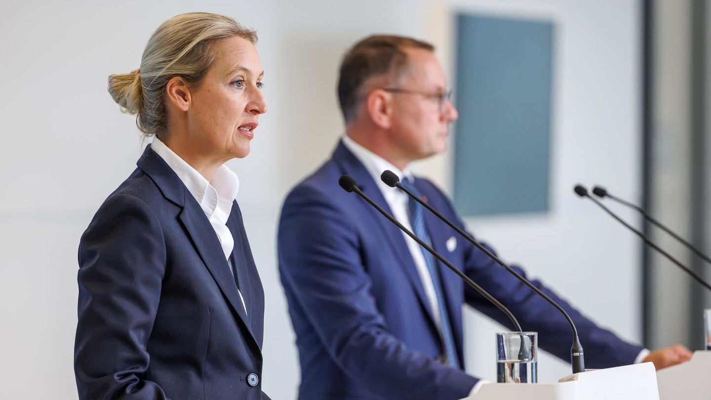 AfD: Streit um Wehrpflicht: Weidel leitet Rückzug ein