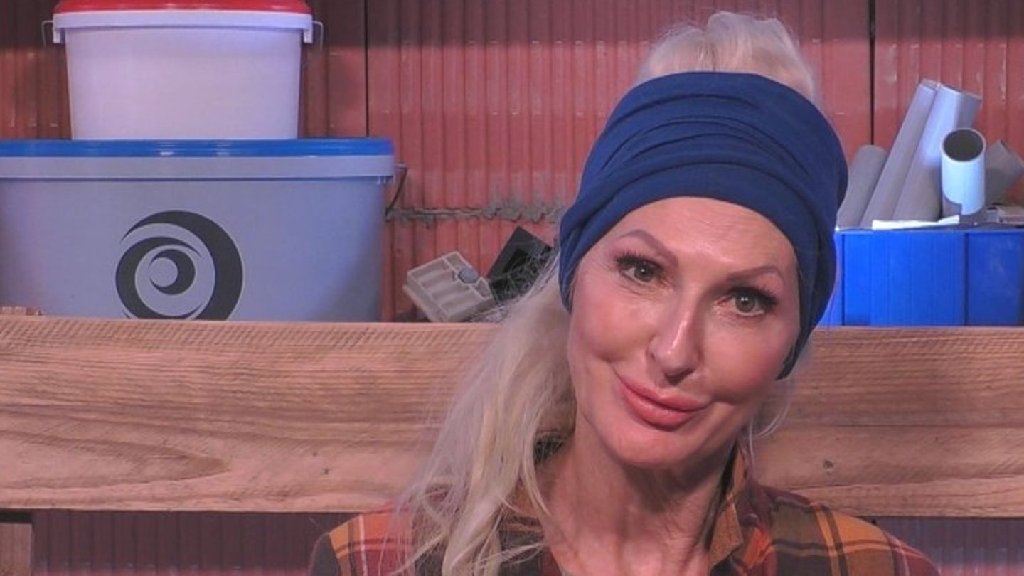 Keine Gunst der Mitbewohner: Kurz vor dem Finale: Désirée Nick muss „Promi Big Brother“ verlassen