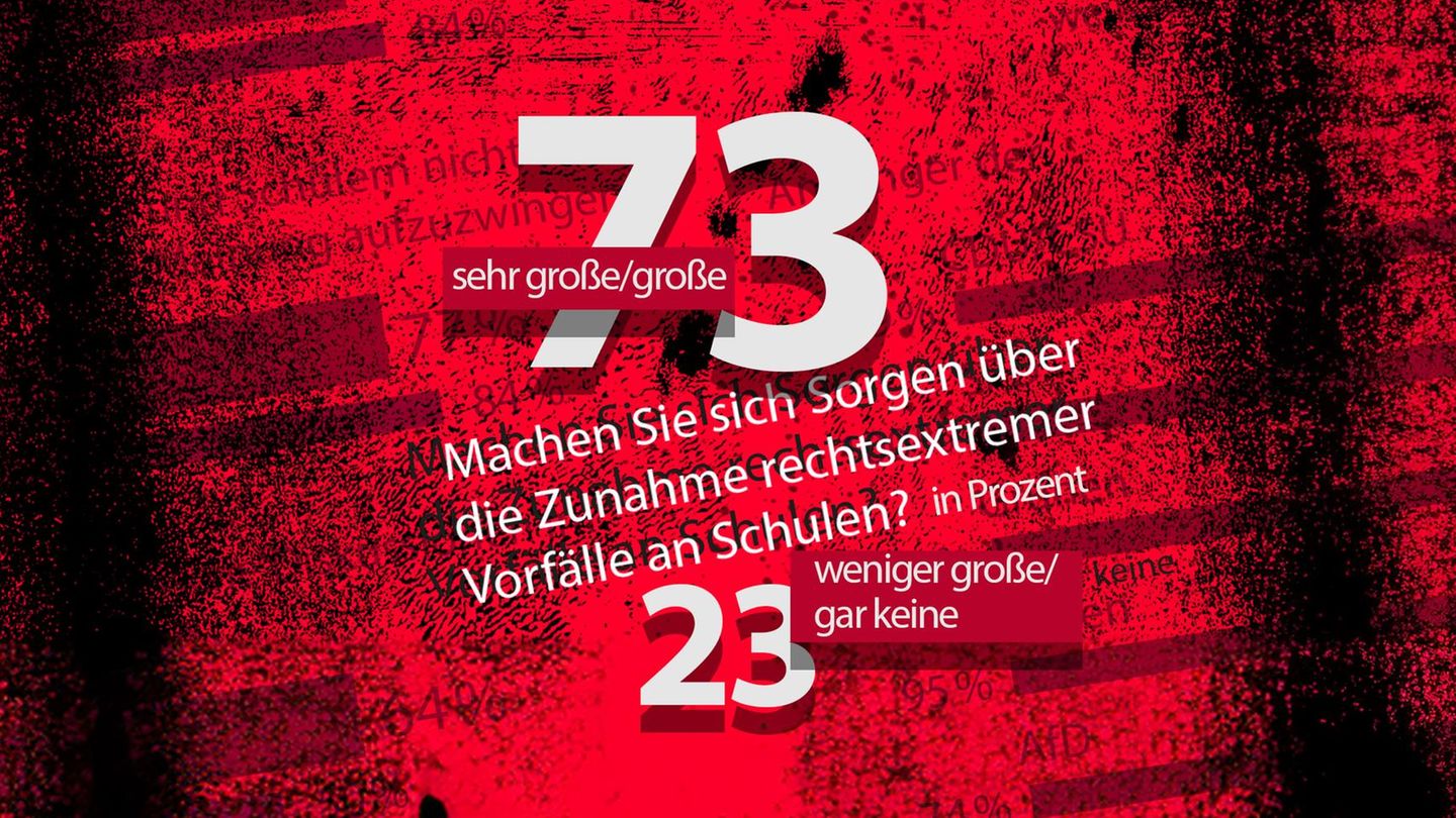 Inside Schule: Umfrage: AfD-Anhänger weniger besorgt über Rechtsextremismus an Schulen