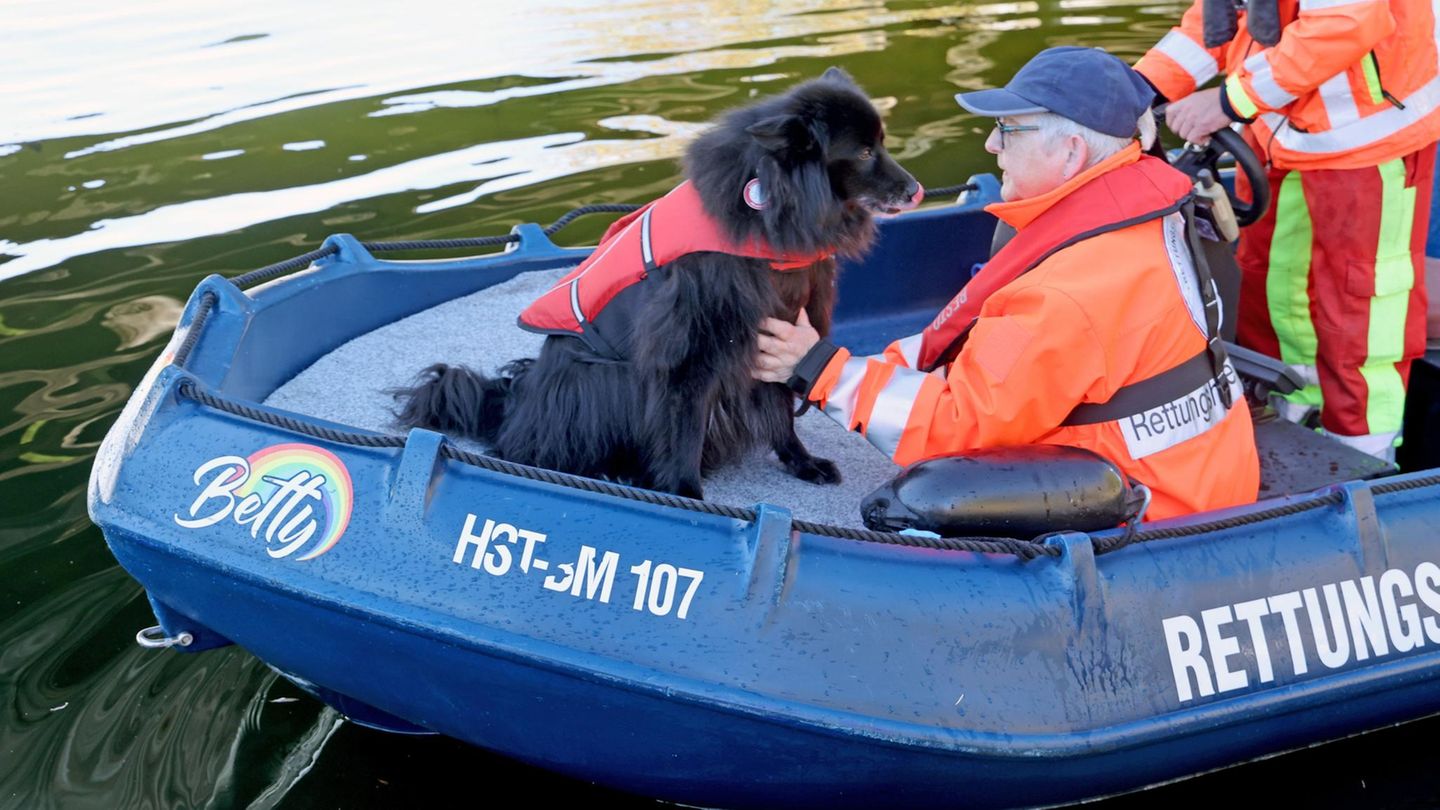 Güstrow: Leichenhunde schlagen bei Suche nach Fabian auf See an