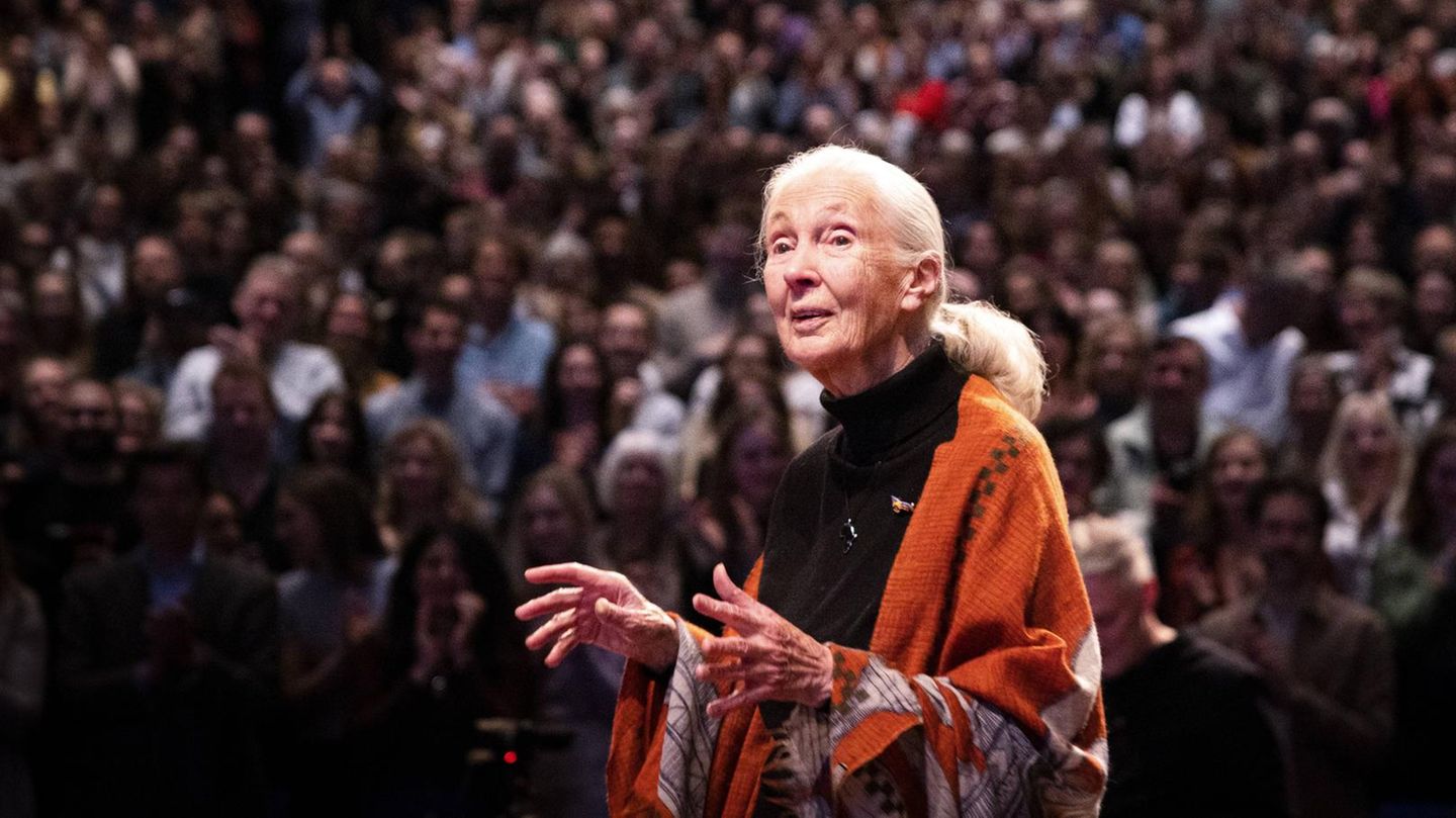 Mit 91 Jahren: Primaten-Forscherin Jane Goodall ist tot