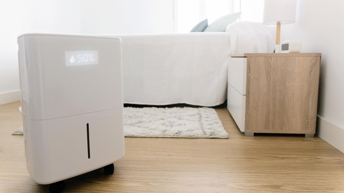 Gegen Schimmel: Für 130 Euro: Bei Amazon gibt’s einen Luftentfeuchter um 50 Prozent reduziert