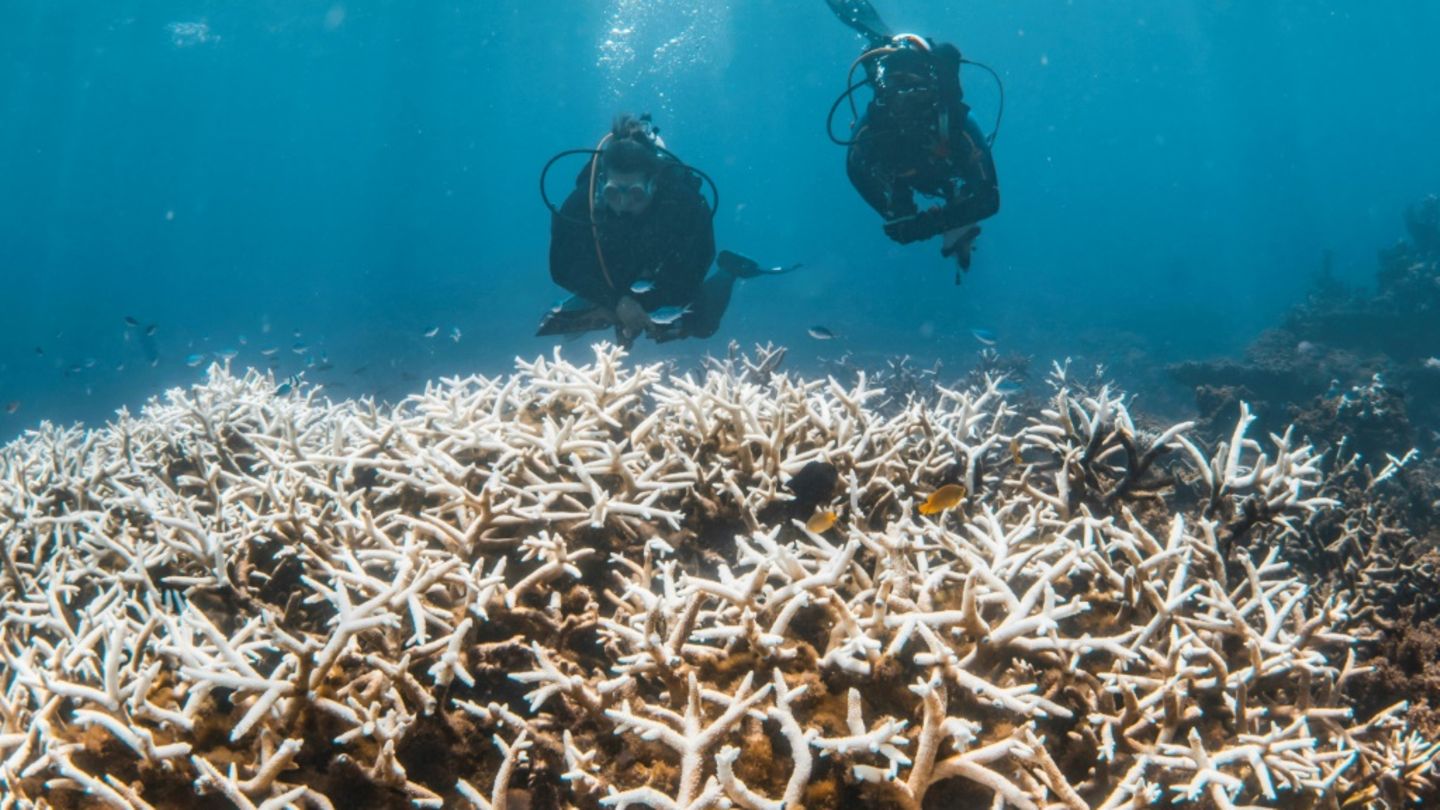 Klimafaktenpapier: Sich weiter erwärmende Erde steuert auf gefährliche Kipppunkte zu