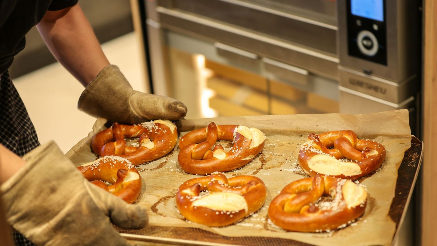 KfW-Analyse: Beschäftigungsrekord im Mittelstand – aber Bürokratie bremst