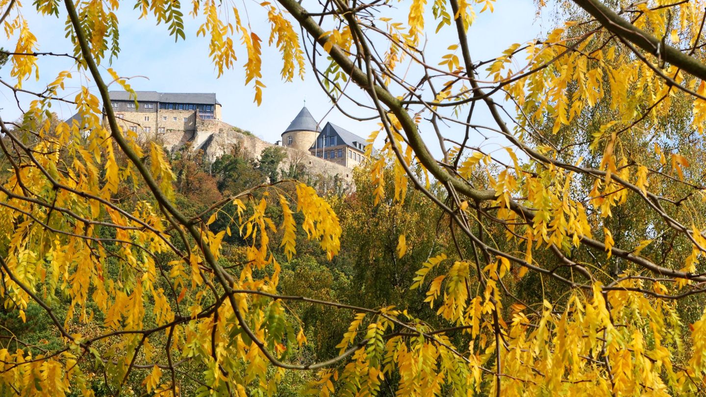Wetter-Vorhersage: Mild und zunehmend sonnig – bis 17 Grad möglich