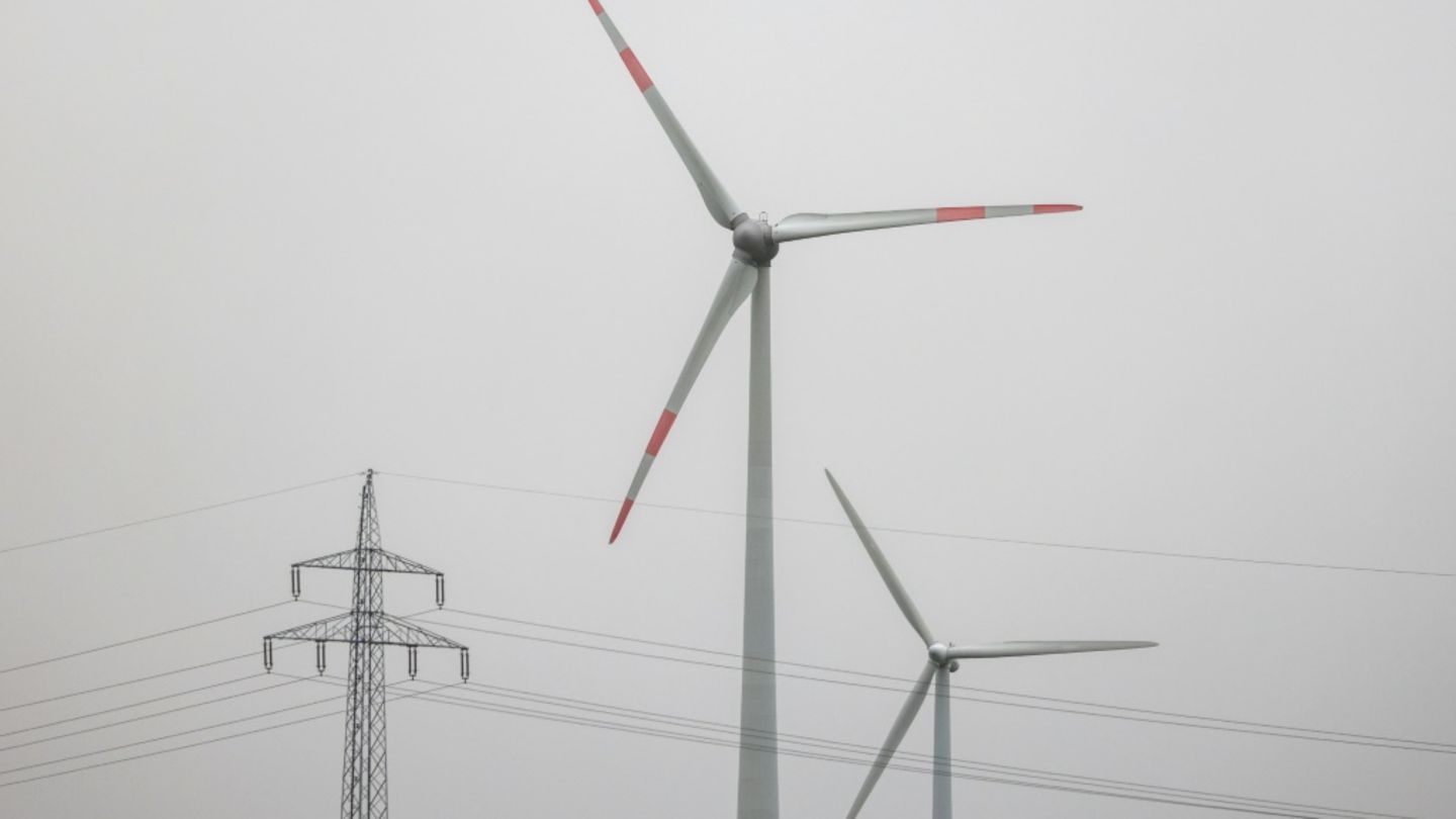 Monopolkommission für flexiblere und regional unterschiedlichere Strompreise