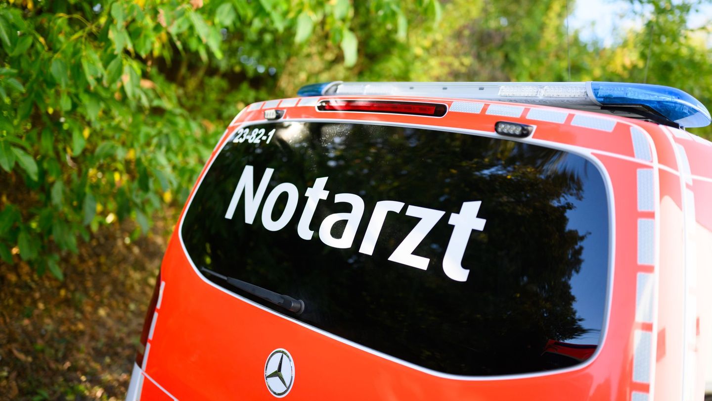 Arbeitsunfall: Bauarbeiter stirbt bei Bagger-Unfall auf B9 nahe Mutterstadt