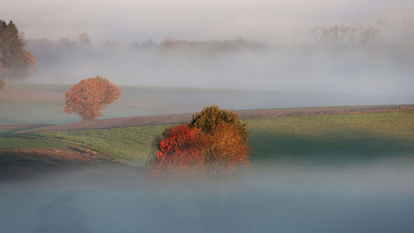 Wetterprognose: Trübe Aussichten im Südwesten – Sonne nur in den Bergen