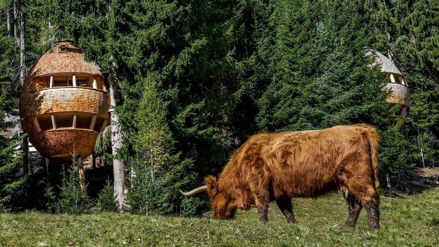 Architektonische Meisterwerke: Die coolsten Baumhäuser der Welt
